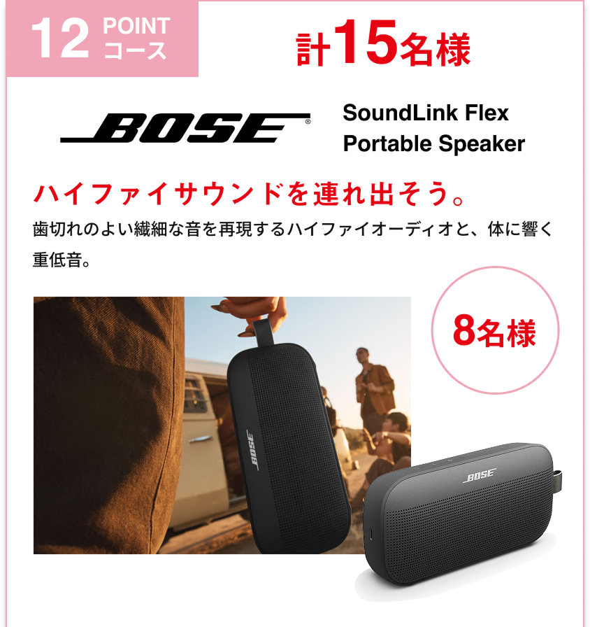BOSE SoundLink FlexPortable Speaker